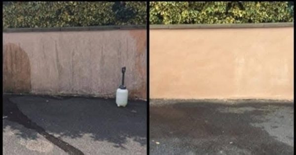 Réalisation : remise en état d'un jardin à Carentan-les-Marais
