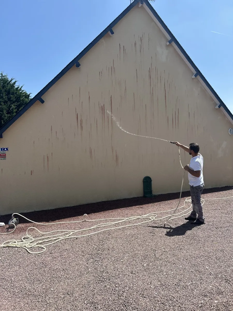 Réalisation : taille de haie à Carentan-les-Marais