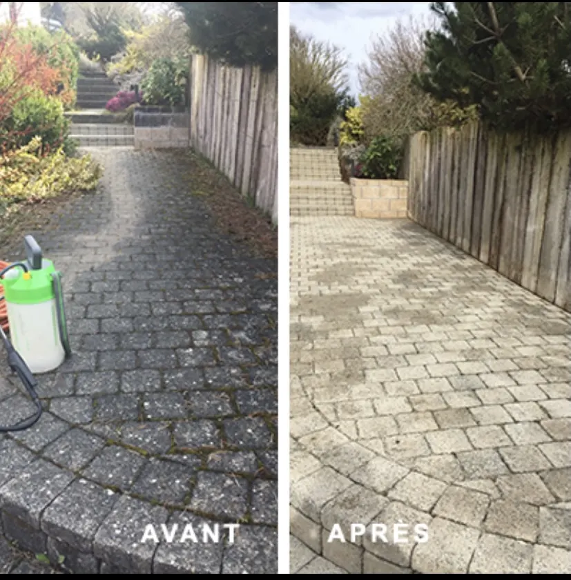 Réalisation : débroussaillage de terrain près de Carentan